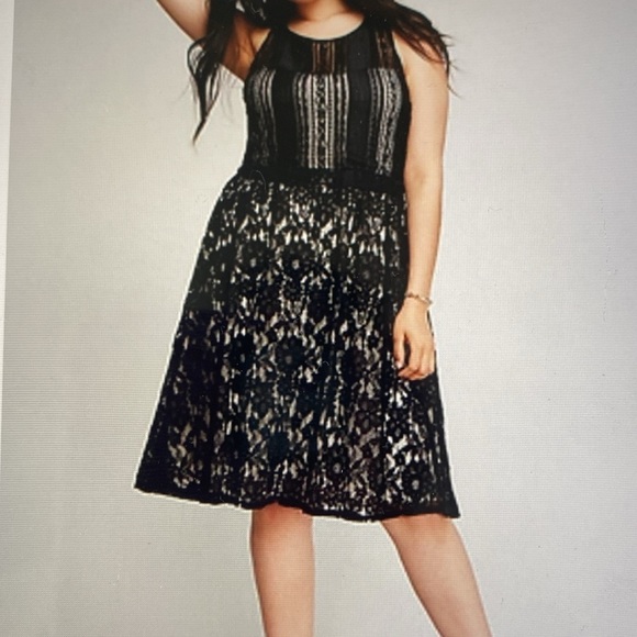 Lane Bryant Black Lace Overlay Dress Womens 24 LBD BLK/Cream zip back A line - Picture 2 of 10